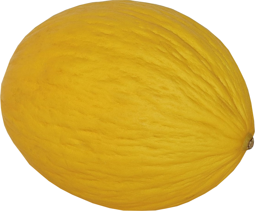 Honeydew melon